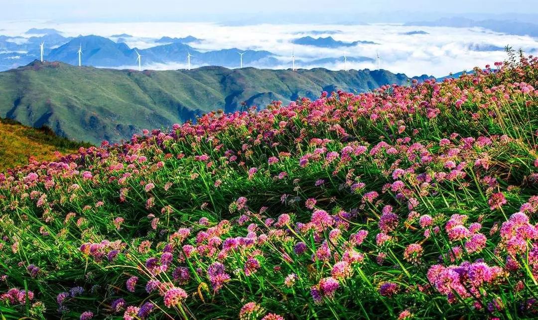 贵州户外运动基地_贵州旅游户外装备基地_贵州户外旅游网