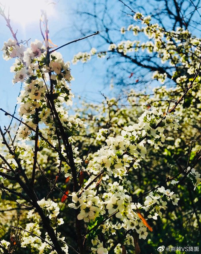 又到旅游季节_旅游季节性的地方_各个季节旅游城市