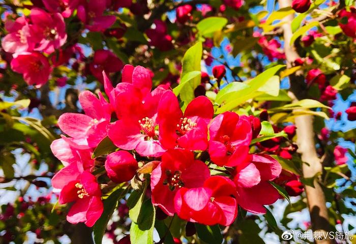 旅游季节性的地方_各个季节旅游城市_又到旅游季节