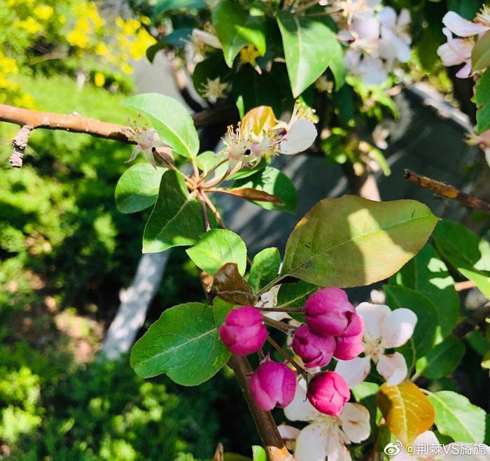 各个季节旅游城市_旅游季节性的地方_又到旅游季节