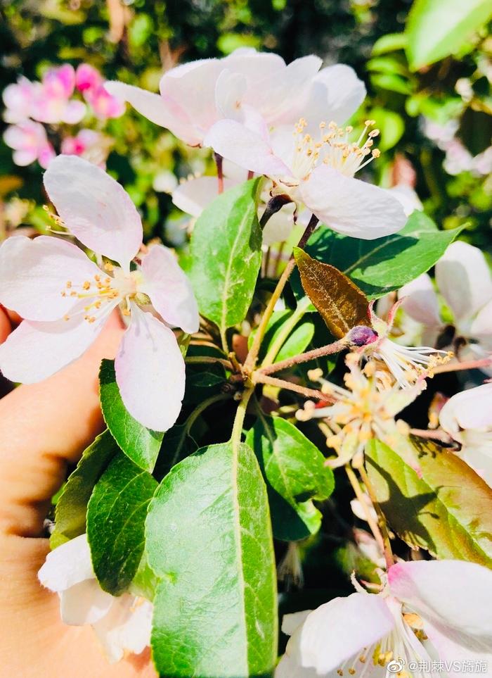 又到旅游季节_各个季节旅游城市_旅游季节性的地方