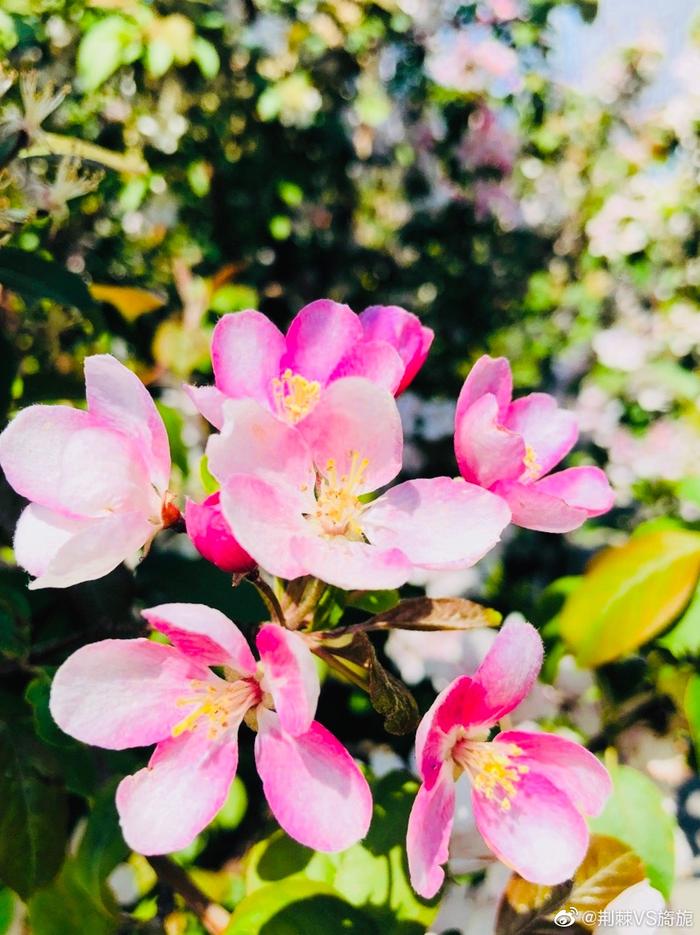 各个季节旅游城市_旅游季节性的地方_又到旅游季节