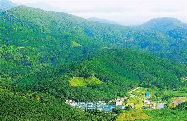 公司集体去莫干山旅游_莫干山旅游集散中心_莫干山跟团游旅行社