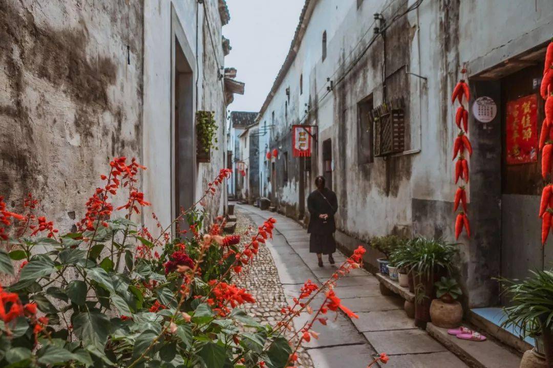 金华特色旅游村_金华特色旅游村在哪里_金华特色旅游村推荐