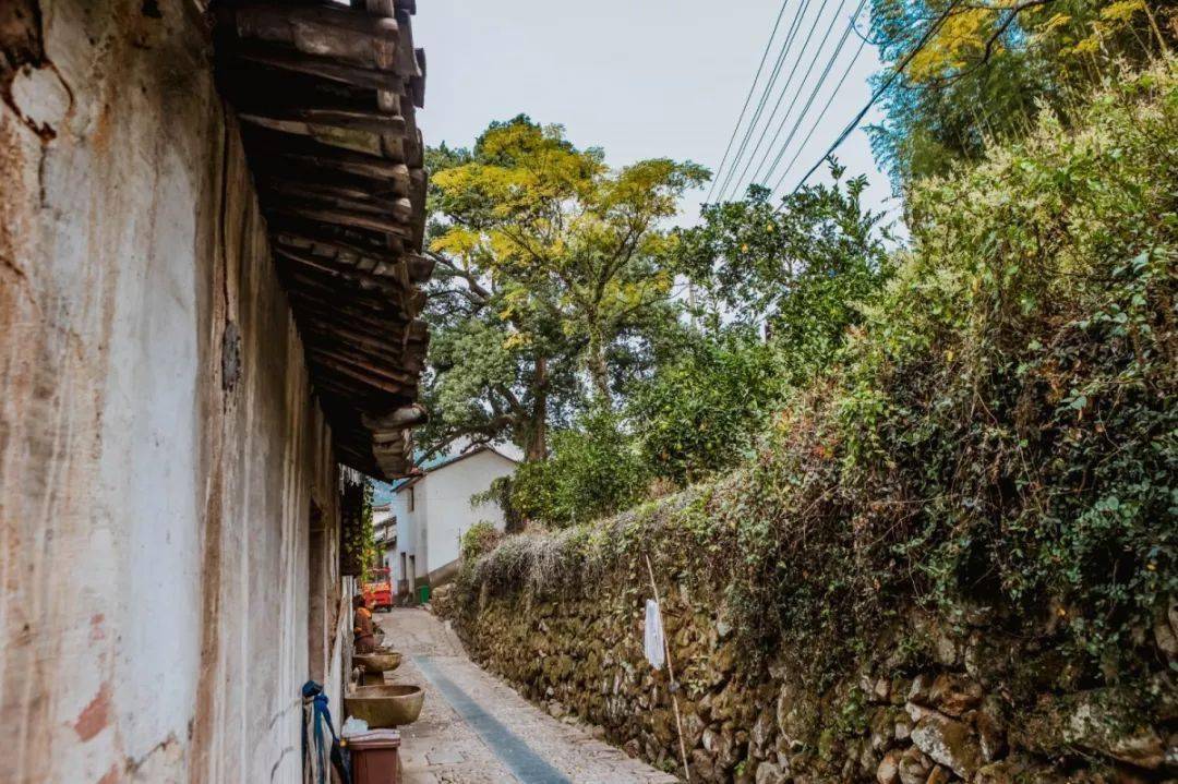 金华特色旅游村在哪里_金华特色旅游村推荐_金华特色旅游村