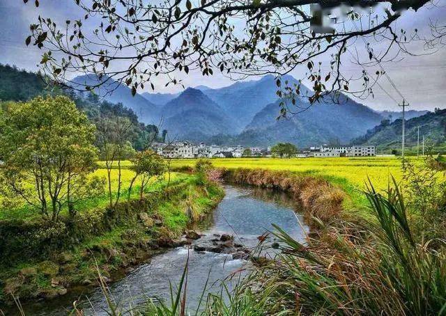 金华特色旅游村在哪里_金华特色旅游村推荐_金华特色旅游村