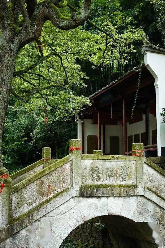 金华特色旅游村_金华特色旅游村在哪里_金华特色旅游村推荐