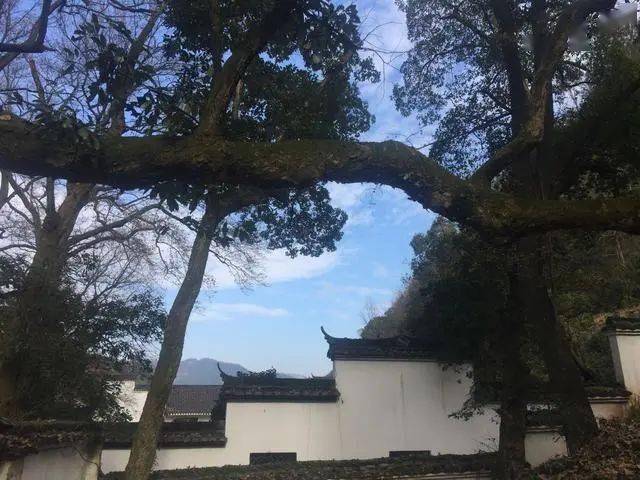 金华特色旅游村_金华特色旅游村在哪里_金华特色旅游村推荐