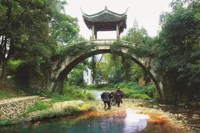 金华特色旅游村在哪里_金华特色旅游村推荐_金华特色旅游村