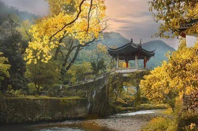 金华特色旅游村_金华特色旅游村在哪里_金华特色旅游村推荐