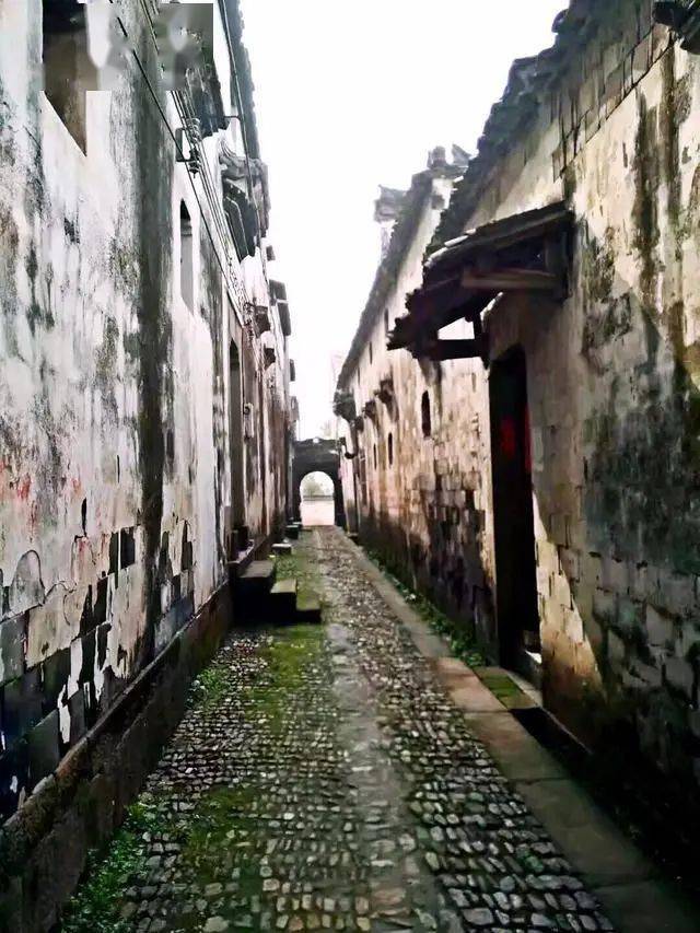 金华特色旅游村_金华特色旅游村在哪里_金华特色旅游村推荐