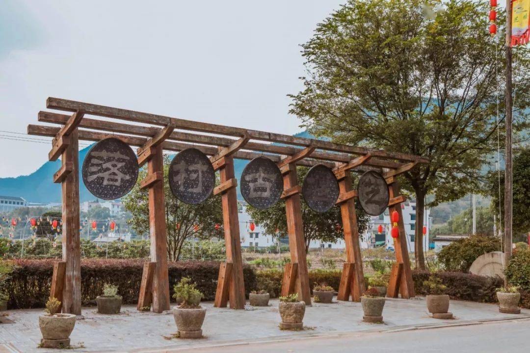 金华特色旅游村在哪里_金华特色旅游村推荐_金华特色旅游村
