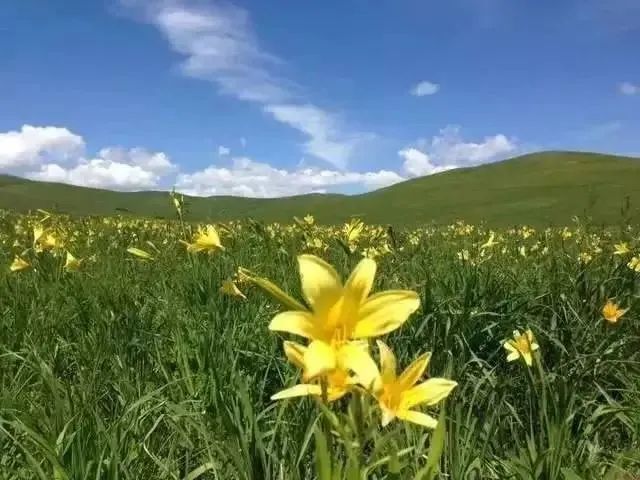 内蒙旅游攻略自助游_内蒙自由行旅游攻略_内蒙旅游攻略自驾