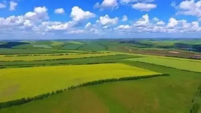 内蒙旅游攻略自助游_内蒙旅游攻略自驾_内蒙自由行旅游攻略