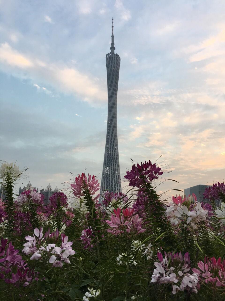 适宜天气旅游地区推荐_适宜天气旅游地区有哪些_十一天气适宜的旅游地区