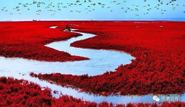豪华线路旅游图片_豪华旅游线路_豪华旅游包含哪些