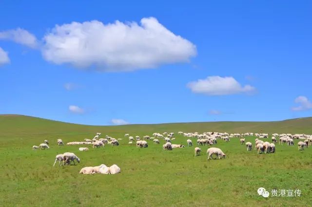 豪华旅游包含哪些_豪华旅游线路_豪华线路旅游图片