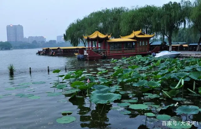 荷花的旅游景点_荷花旅游景点_荷花景点旅游路线