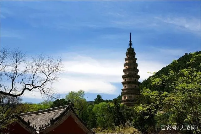 荷花旅游景点_荷花景点旅游路线_荷花的旅游景点