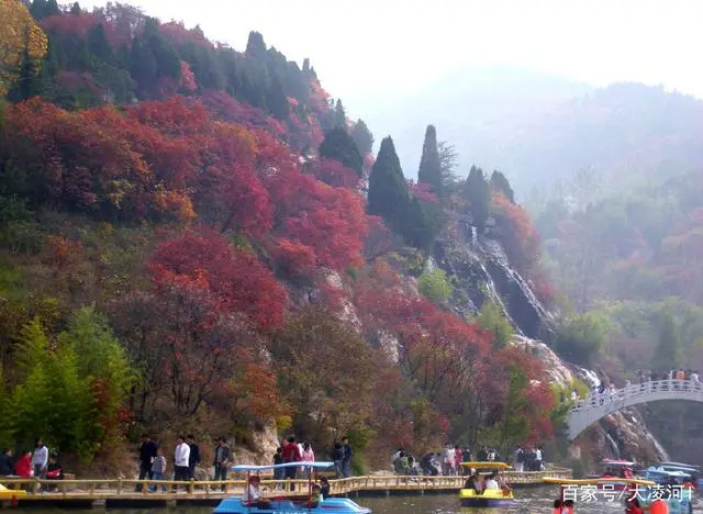 荷花景点旅游路线_荷花的旅游景点_荷花旅游景点