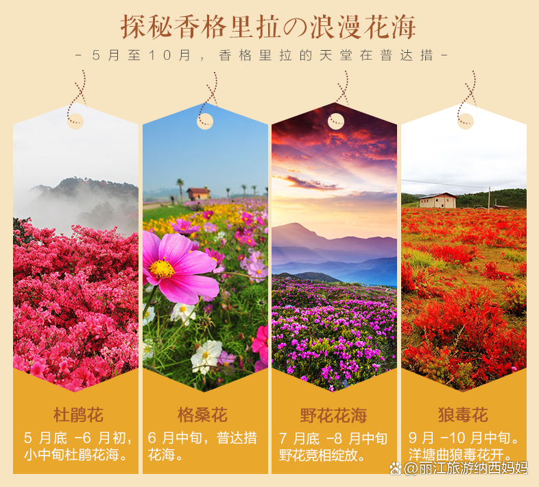 适合这个季节的旅游景点_最美季节旅游景点_季节旅游推荐