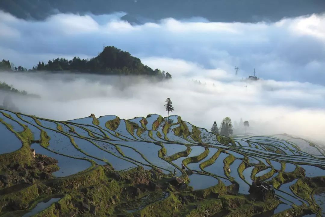全域特色旅游研究模式包括_全域特色旅游研究模式是什么_全域旅游特色模式研究
