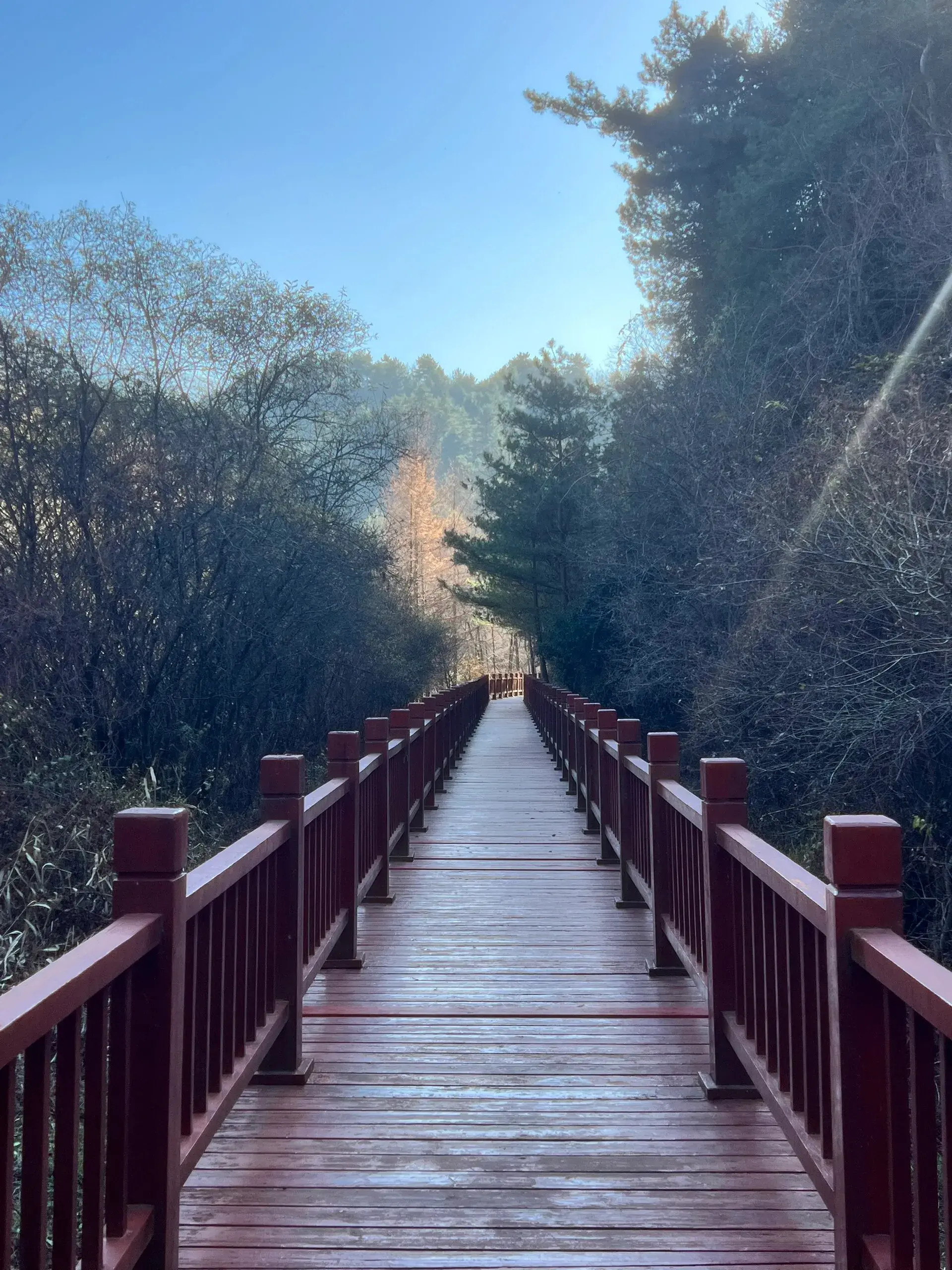 天水哪些景区免门票_天水免门票旅游景点推荐_天水景点门票优惠政策