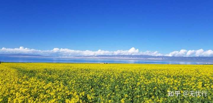 适合这个季节的旅游景点_最美季节旅游景点_季节旅游推荐