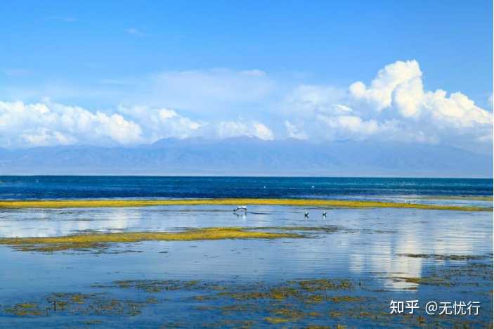 季节旅游推荐_最美季节旅游景点_适合这个季节的旅游景点