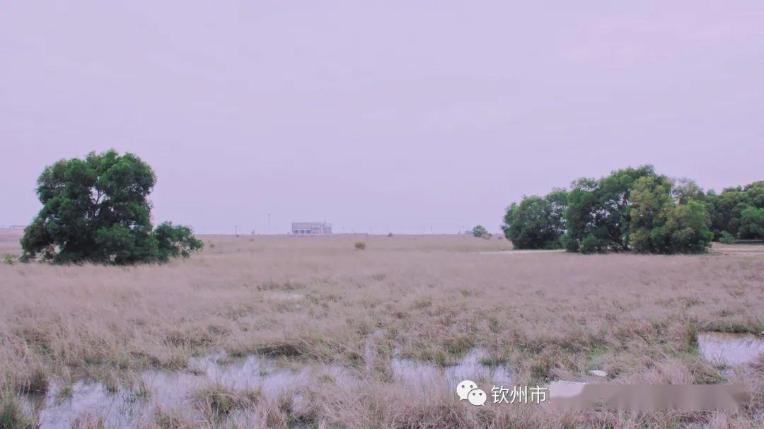 南宁旅游旅游线路_南宁的旅游线路_旅游南宁线路图