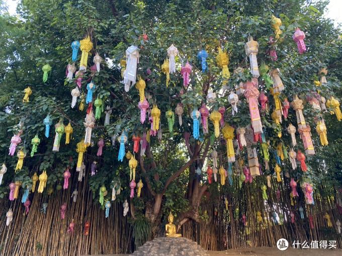 自助游清迈_清迈旅游价格_在清迈酒店预定旅游行程