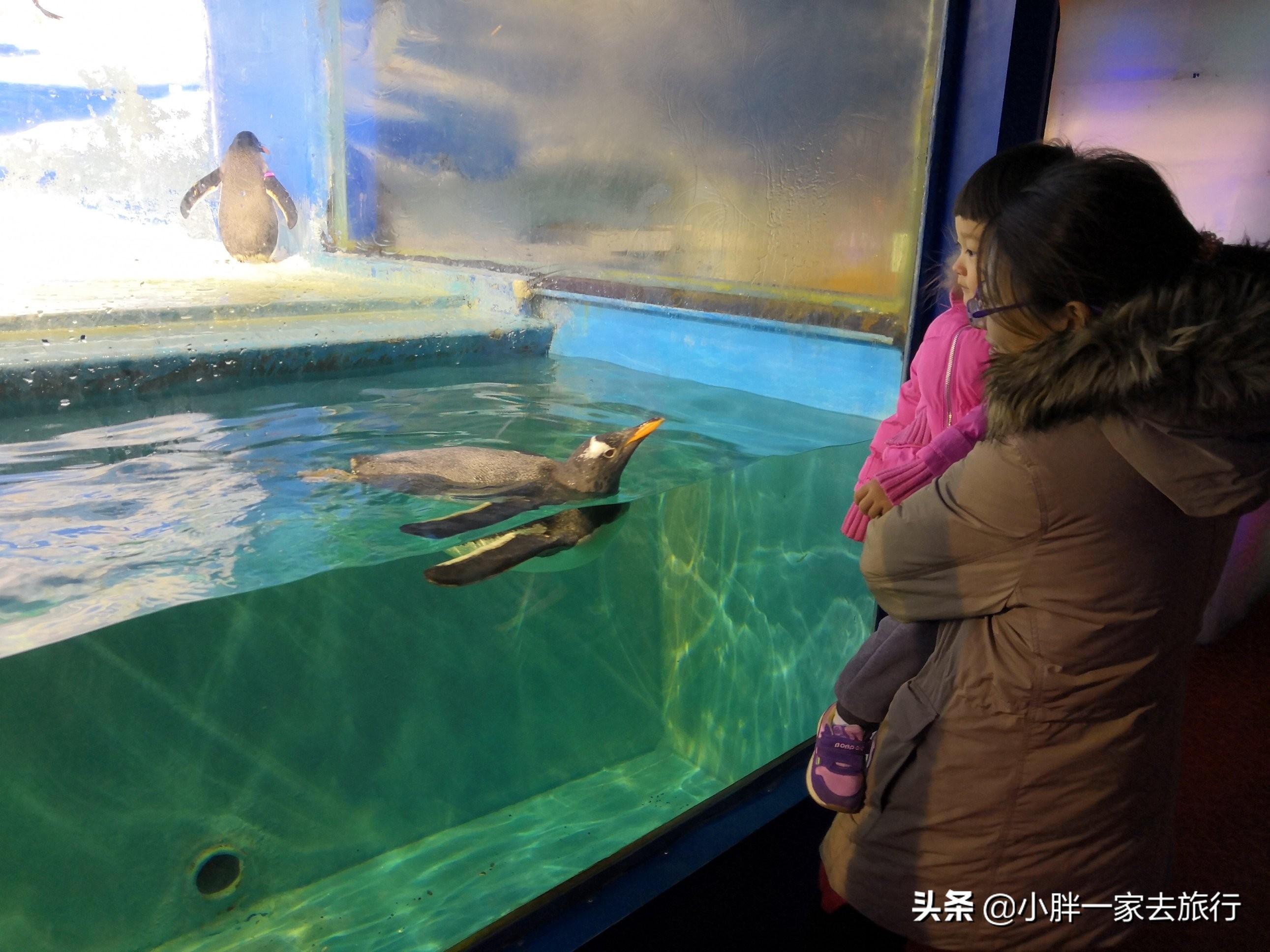 天津旅游攻略必玩的景点推荐_天津景点旅游攻略_天津旅游攻略景点推荐