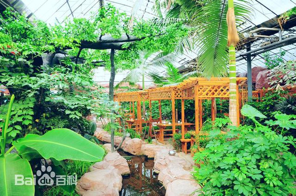 河南云台山旅游攻略_河南云台山游玩攻略_河南旅游景点云台山