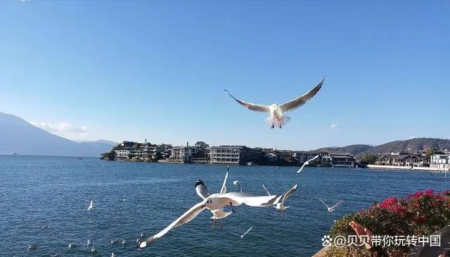 云南旅行团-最新报价_旅行团云南游_云南五日旅游行程