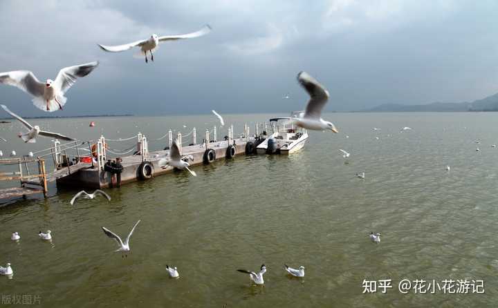 黄荆老林什么时候去好玩_黄荆老林最佳旅游时间_黄荆老林旅游季节
