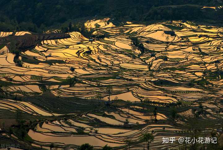 黄荆老林最佳旅游时间_黄荆老林什么时候去好玩_黄荆老林旅游季节