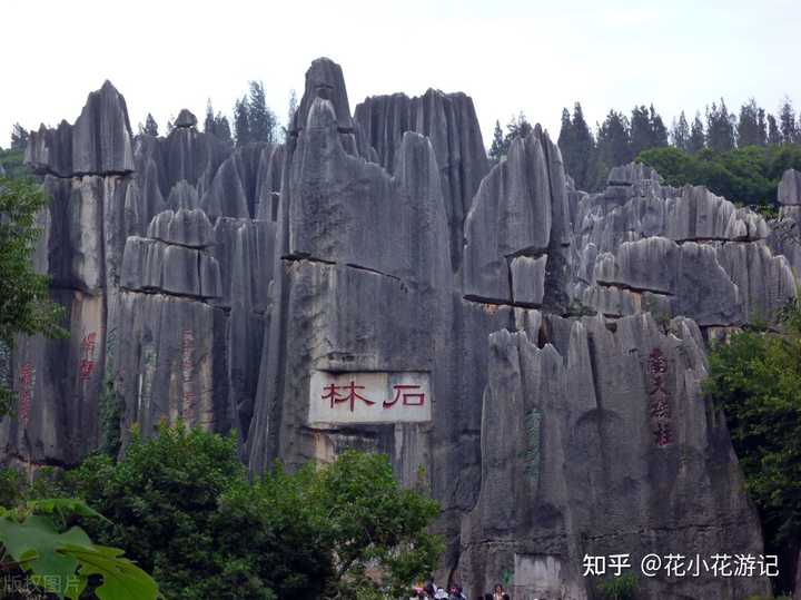 黄荆老林什么时候去好玩_黄荆老林旅游季节_黄荆老林最佳旅游时间