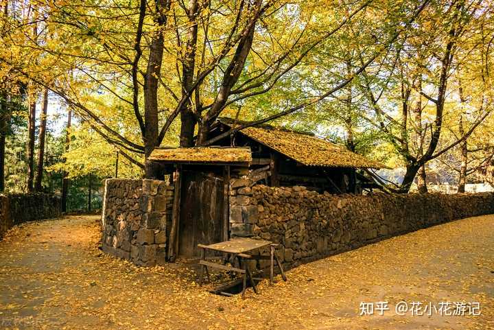 黄荆老林最佳旅游时间_黄荆老林什么时候去好玩_黄荆老林旅游季节