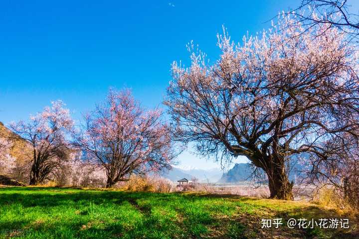 黄荆老林什么时候去好玩_黄荆老林最佳旅游时间_黄荆老林旅游季节