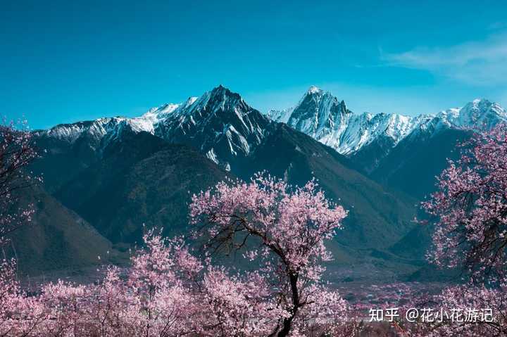 黄荆老林最佳旅游时间_黄荆老林什么时候去好玩_黄荆老林旅游季节