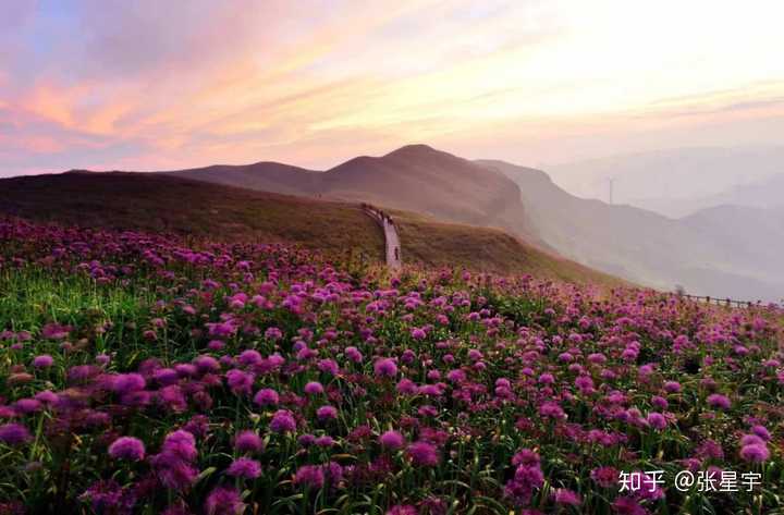 山区旅游地区排名前十_山区排名旅游地区前三_山区景点排名