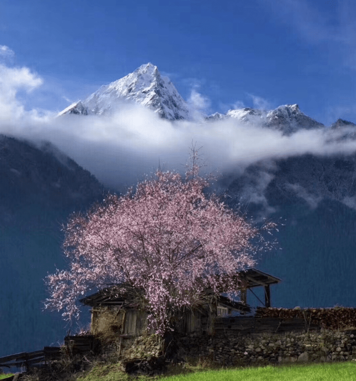 雅鲁藏布江季风气候_雅鲁藏布江季节变化_雅鲁藏布江旅游季节