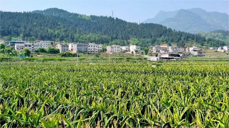 贵州旅游线路报价_贵州线路旅游攻略_贵州最低旅游线路