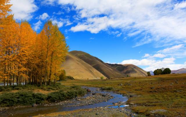 成都周边旅游地区推荐自驾游_成都周边自驾车旅游_成都周边自驾线路