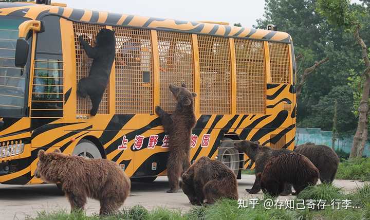 美景上海特色旅游作文_上海旅游特色美景_美景上海特色旅游文案