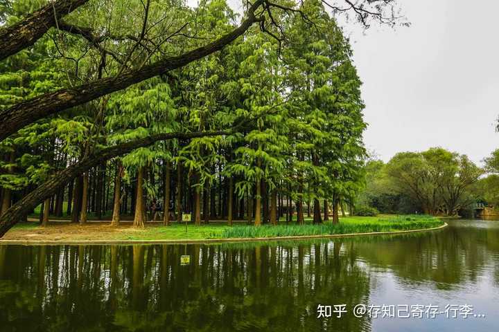 美景上海特色旅游文案_上海旅游特色美景_美景上海特色旅游作文