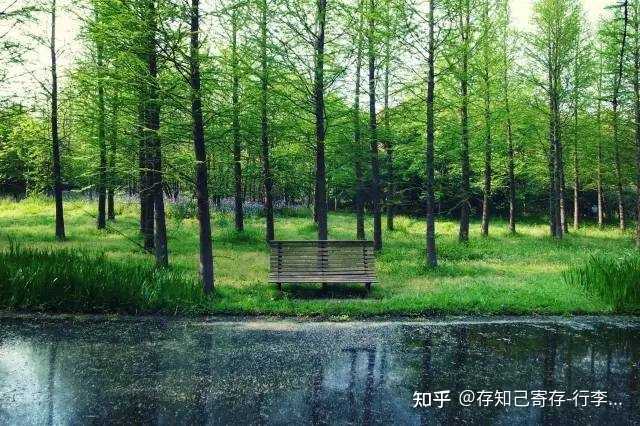 上海旅游特色美景_美景上海特色旅游文案_美景上海特色旅游作文