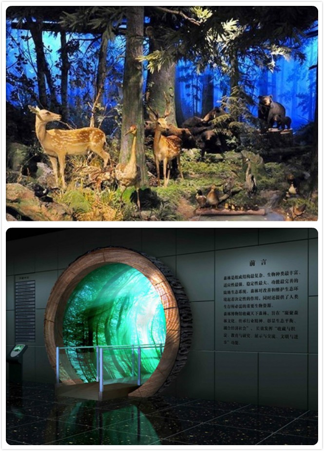 哈尔滨游玩带孩子_带孩子去哈尔滨旅游装备_哈尔滨必备装备