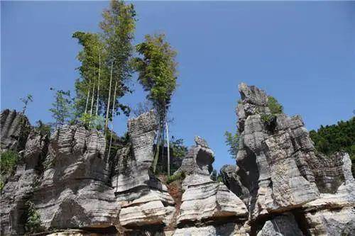 四川宜宾游玩攻略_宜宾夏季旅游景点_夏日旅游推荐景点四川宜宾