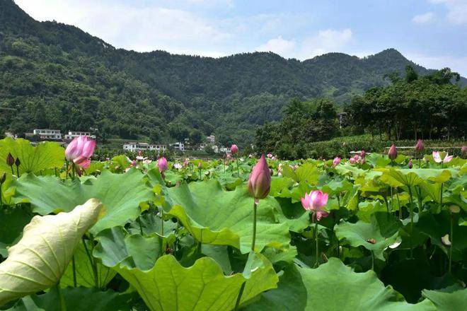 宜宾夏季旅游景点_四川宜宾游玩攻略_夏日旅游推荐景点四川宜宾